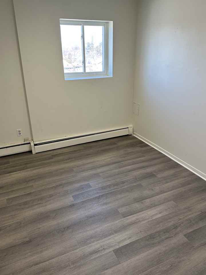 Carmel Apartments - Photo 5 of 5