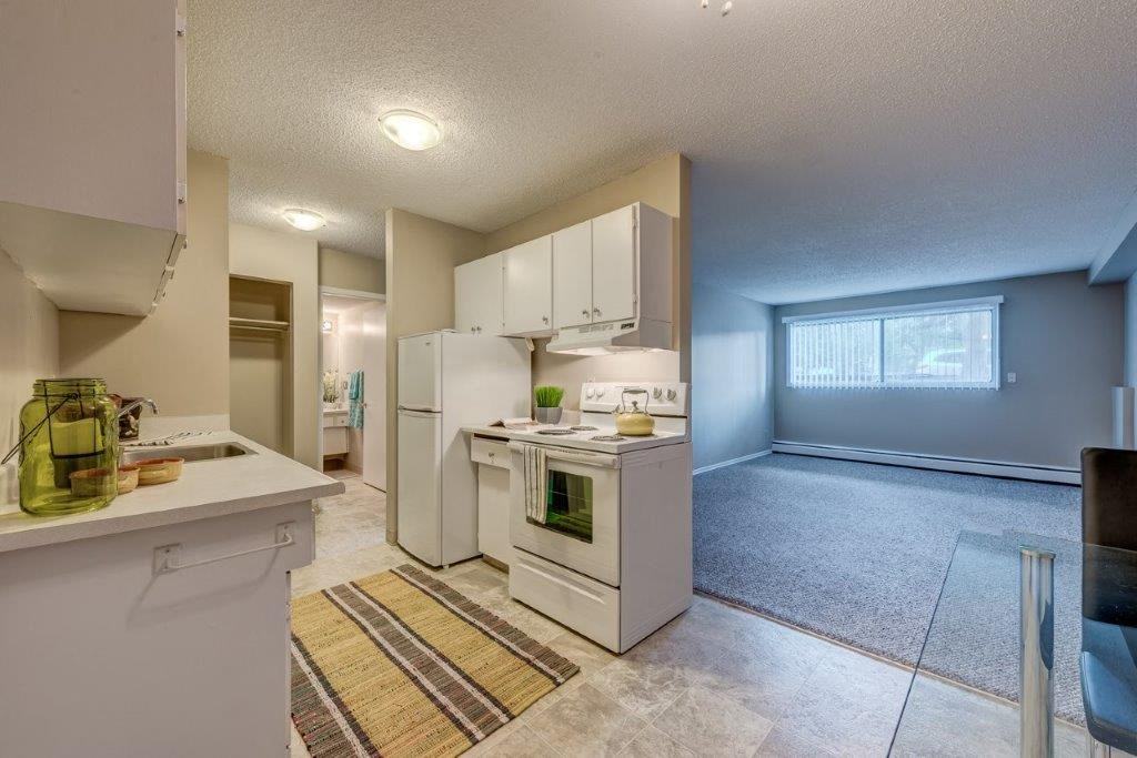 Mountainview Apartments - Photo 6 of 11