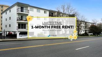 Mount Benson Arms - Photo 1 of 1