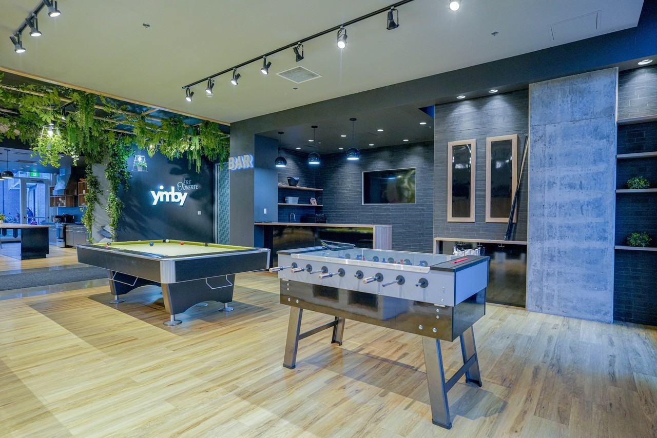 2542 Place Pierre-Falardeau - Photo 6 of 30