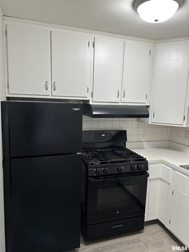 228 E Oak Cliff Ct Apt A2 #A2 - Photo 6 of 17