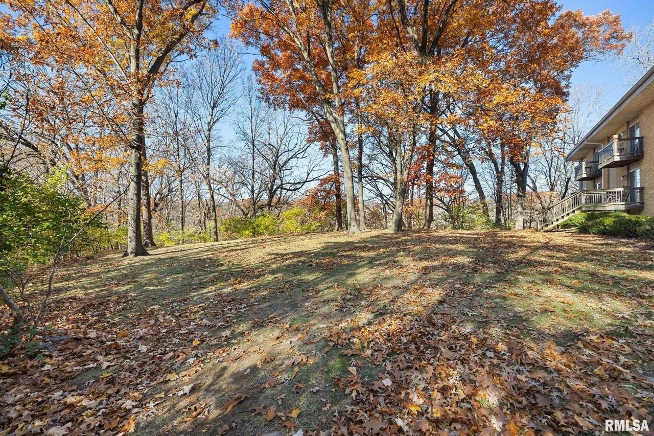 2915 W Cannes Dr #A - Photo 2 of 13