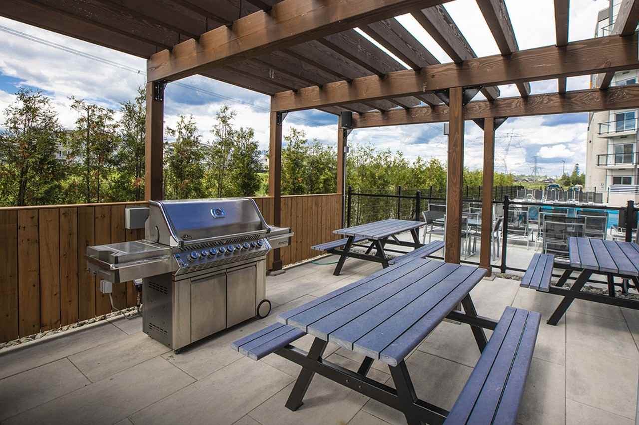 Diplomates - Photo 2 of 50