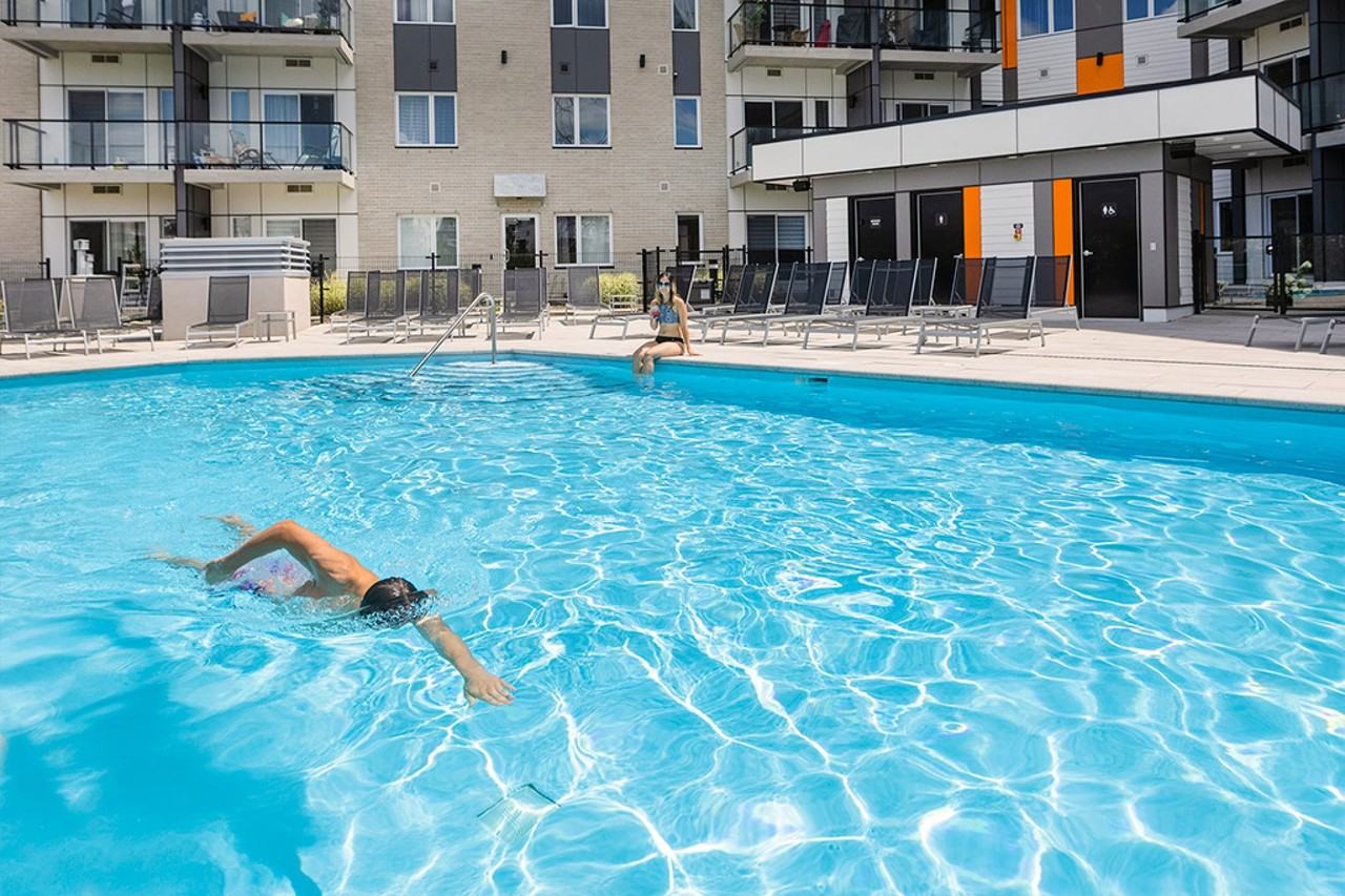 Diplomates - Photo 3 of 50