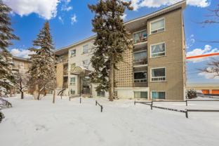 4290-4324 Boul. Métropolitain - Photo 1 of 1