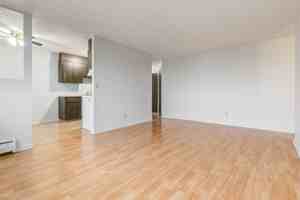 featured image of 85 Froom Cres