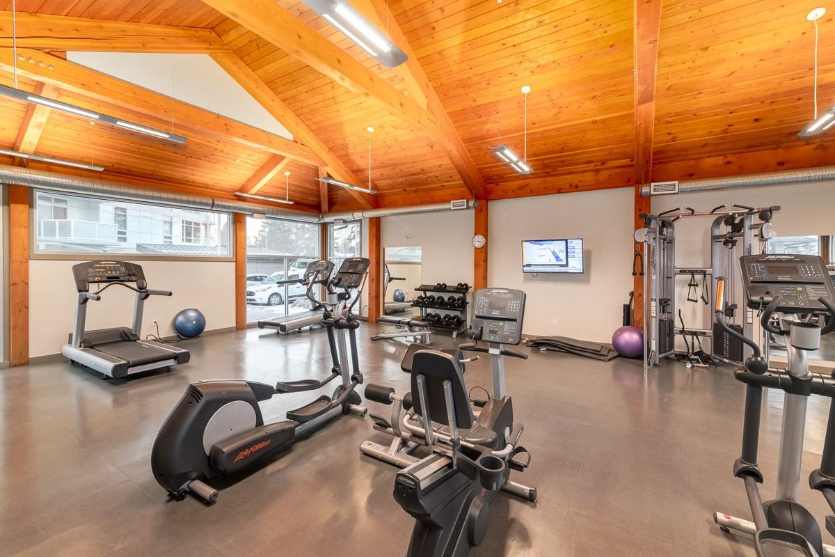 Elata - Photo 3 of 50