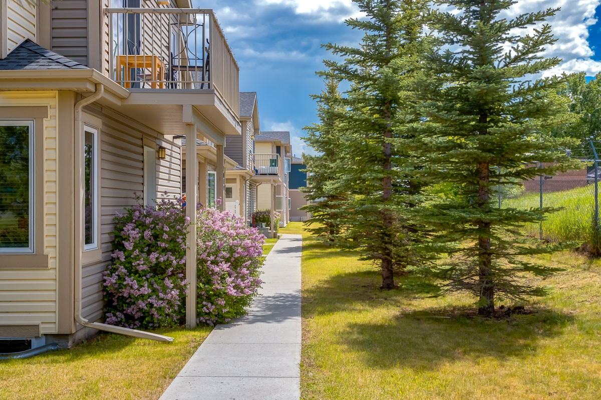 Sagecourt - Photo 6 of 7