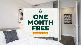 50 Young St - Photo 1 of 1