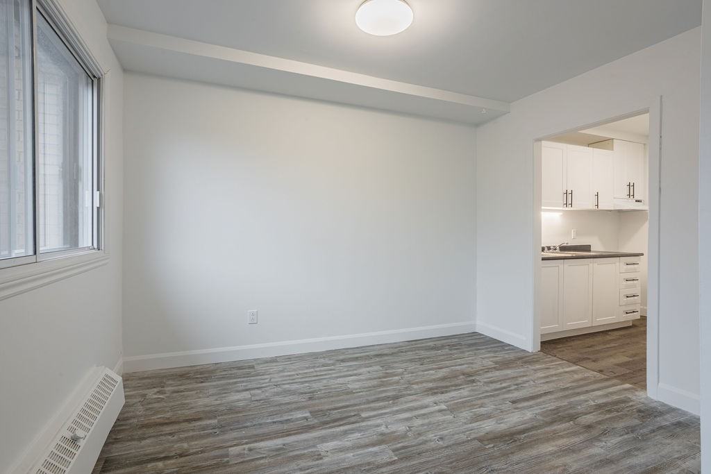 Dudemaine - Photo 4 of 24