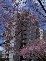 2020 Comox Street - Photo 1 of 1