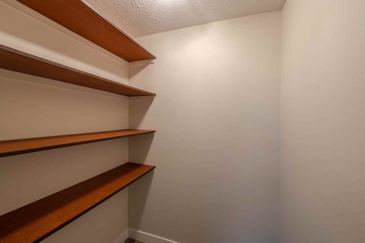 Monte Carlo Apartments - Photo 5 of 17