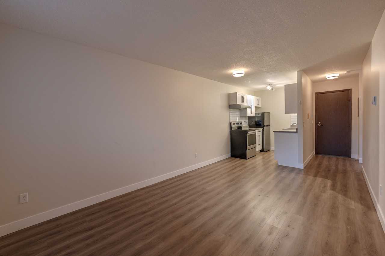 Monte Carlo Apartments - Photo 7 of 17