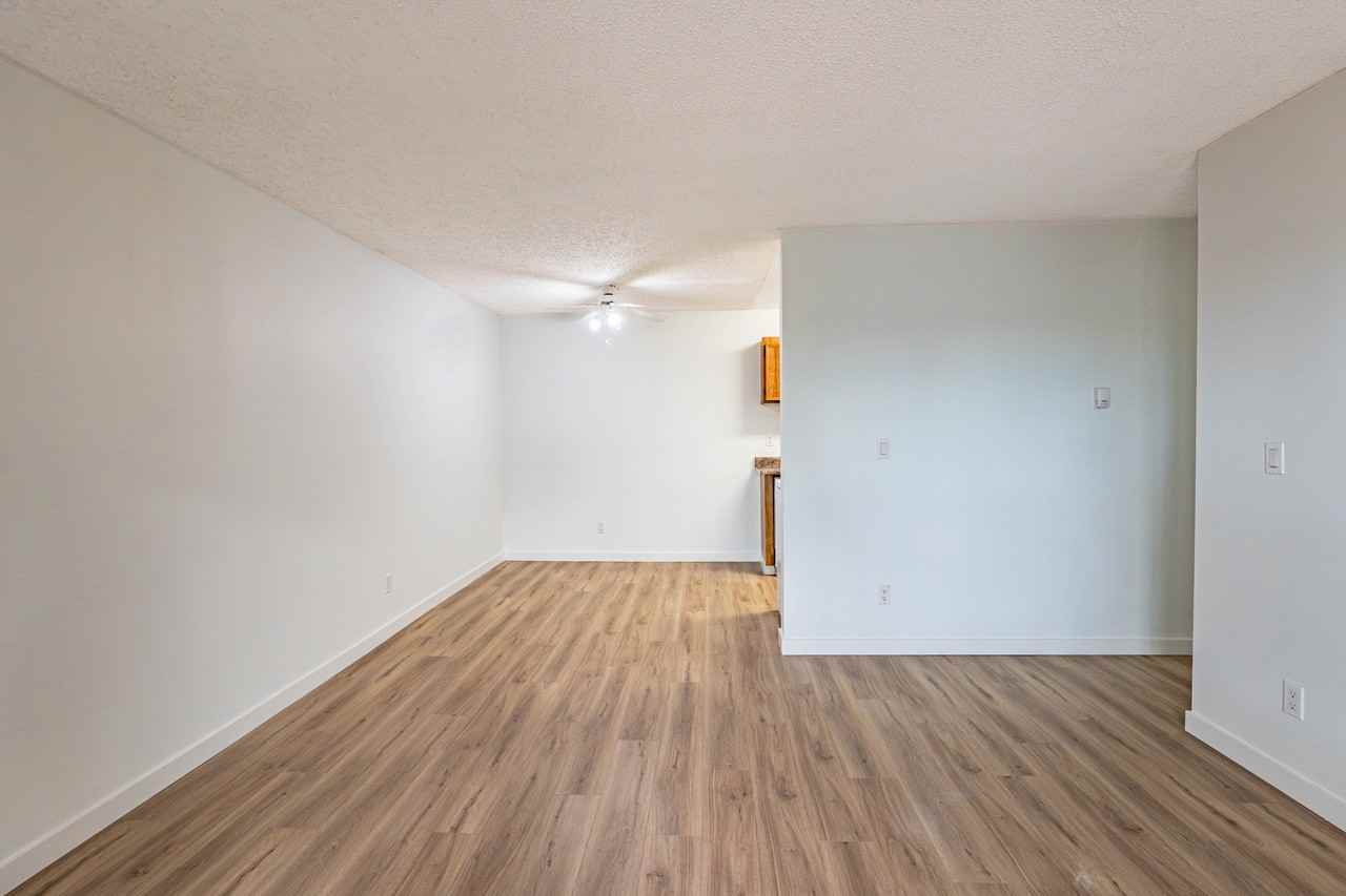 Christopher County - Photo 4 of 39