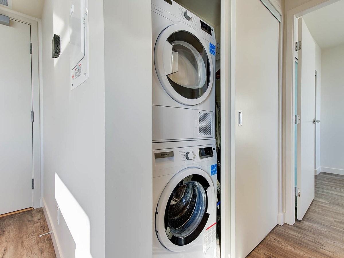 Hazel - Photo 3 of 42