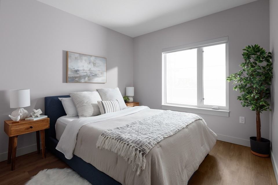 THE AMBROSI - Photo 7 of 50