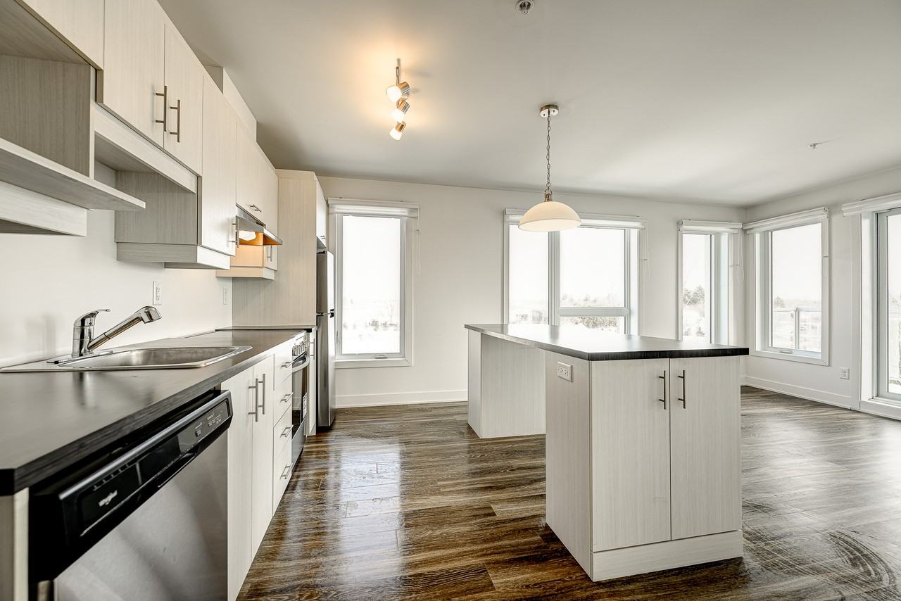 21 Rue Simon Lussier - Photo 6 of 13