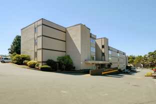 Pacific Village II - Photo 1 of 1