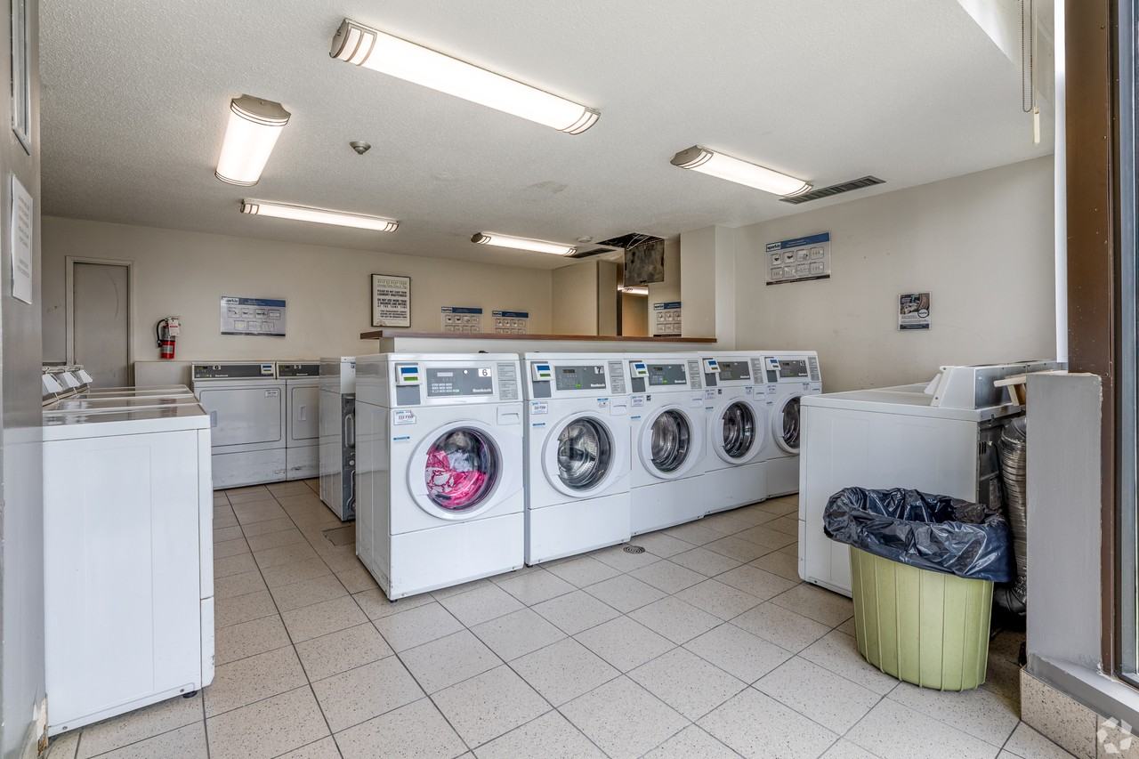 4 Silver Maple Court - Photo 7 of 10