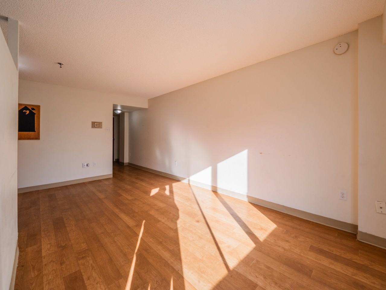 955 René-Lévesque Est - Photo 6 of 33