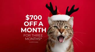 Kensington Court - Photo 1 of 1