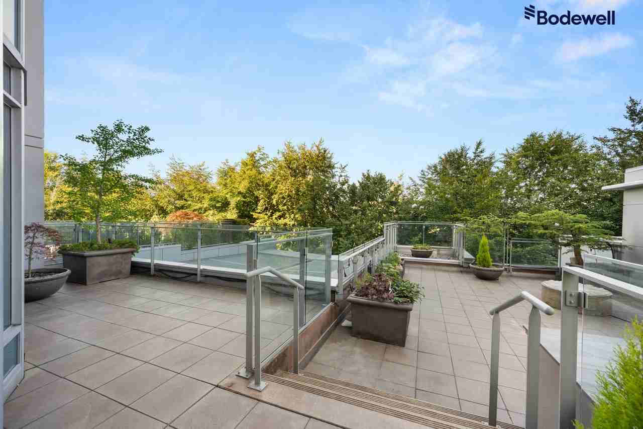 The Callisto - Photo 4 of 25