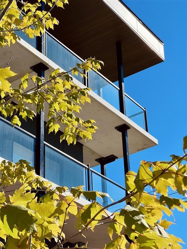 2120 Pink - Photo 7 of 44