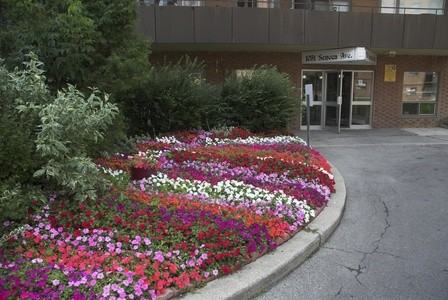 1051 Seneca Ave - Photo 5 of 32