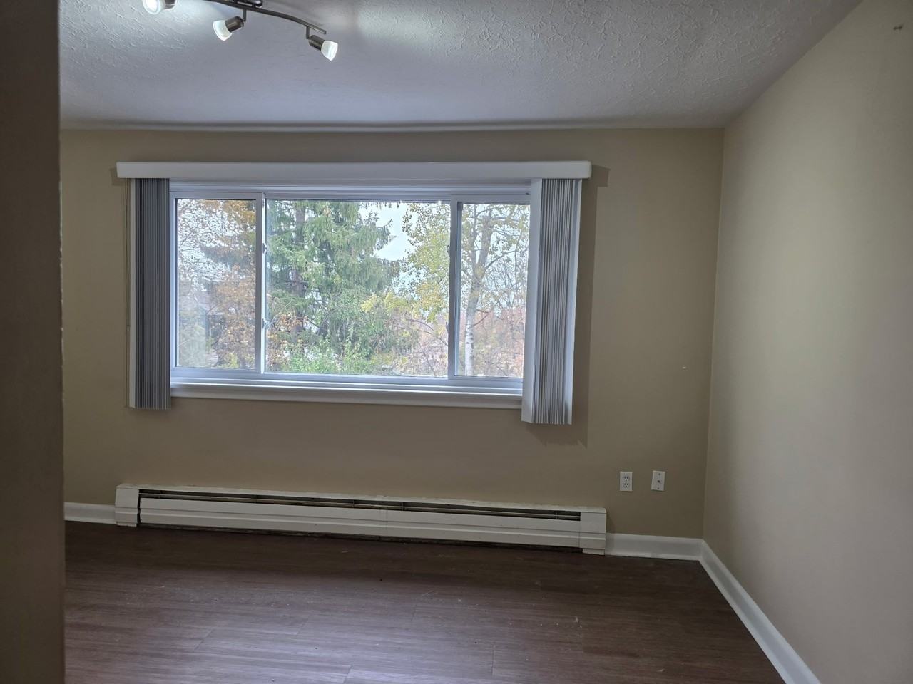 316 Peter St - Photo 4 of 6