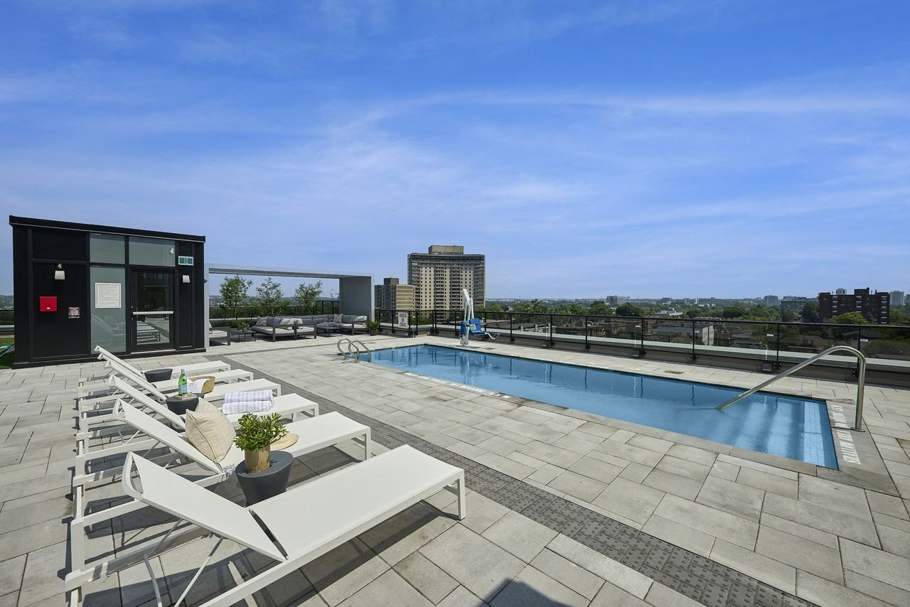 The Charlotte - Photo 6 of 8