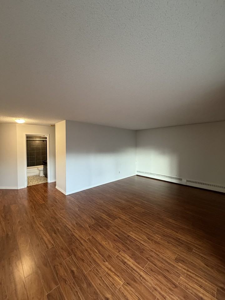 10175 114 ST # 310 - Photo 5 of 13