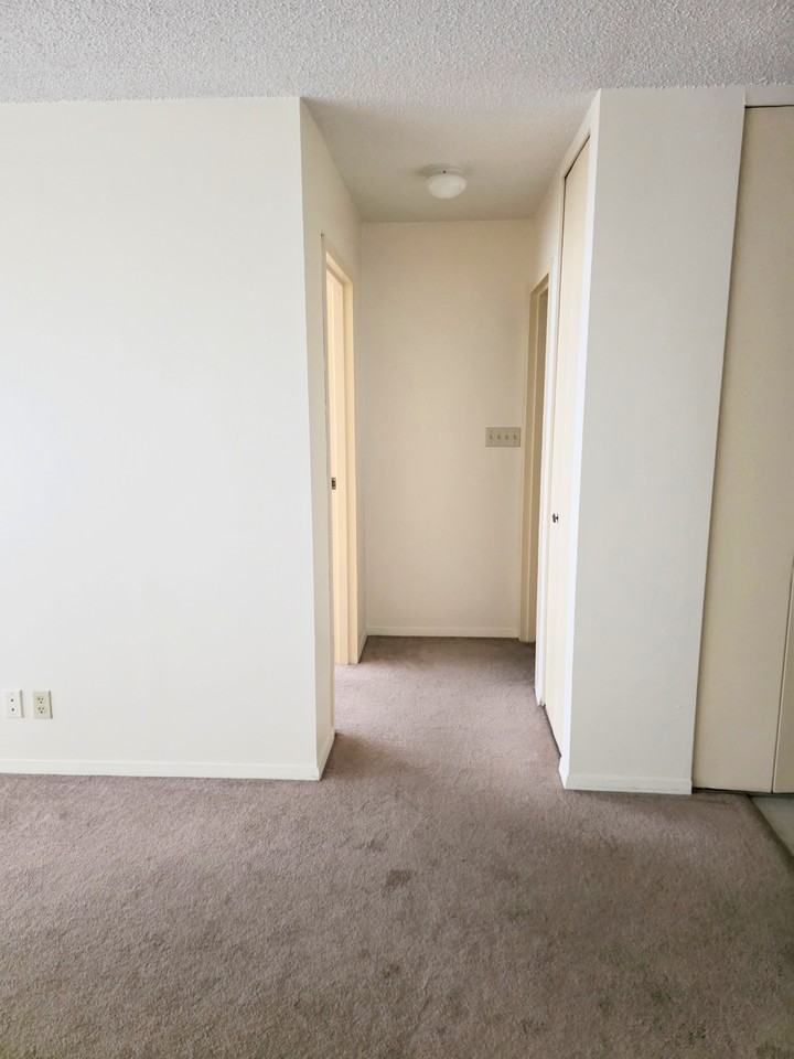 Nelson Towers - Photo 7 of 20