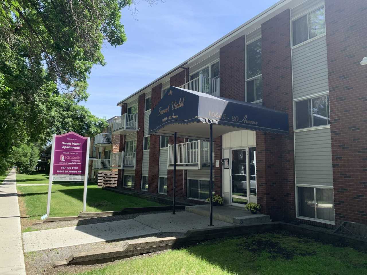 Sweet Violet - Photo 3 of 15