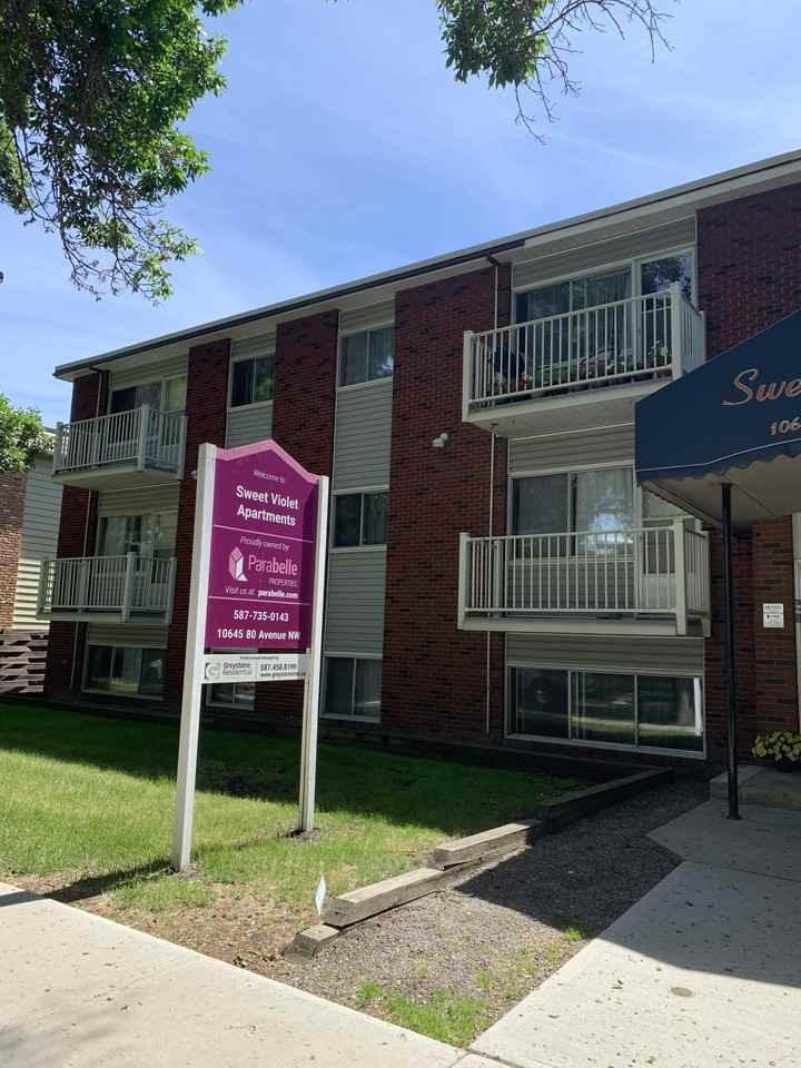 Sweet Violet - Photo 4 of 15