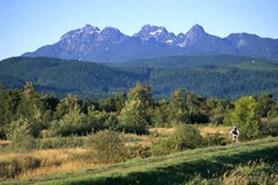 Maridge Place - Photo 2 of 6