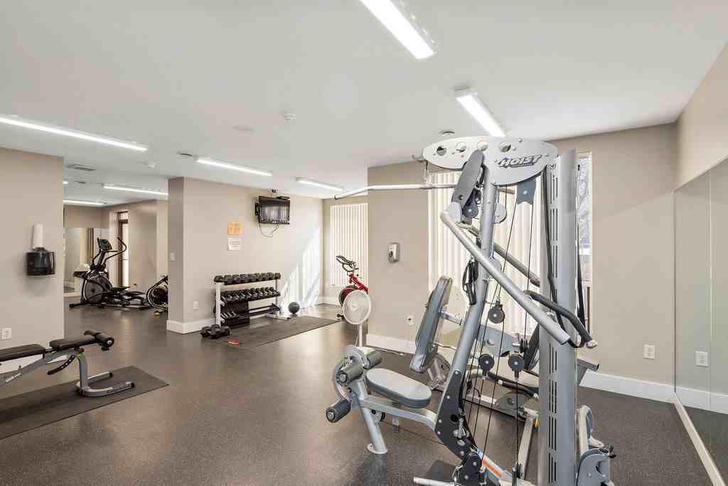 The Renaissance - Photo 5 of 38