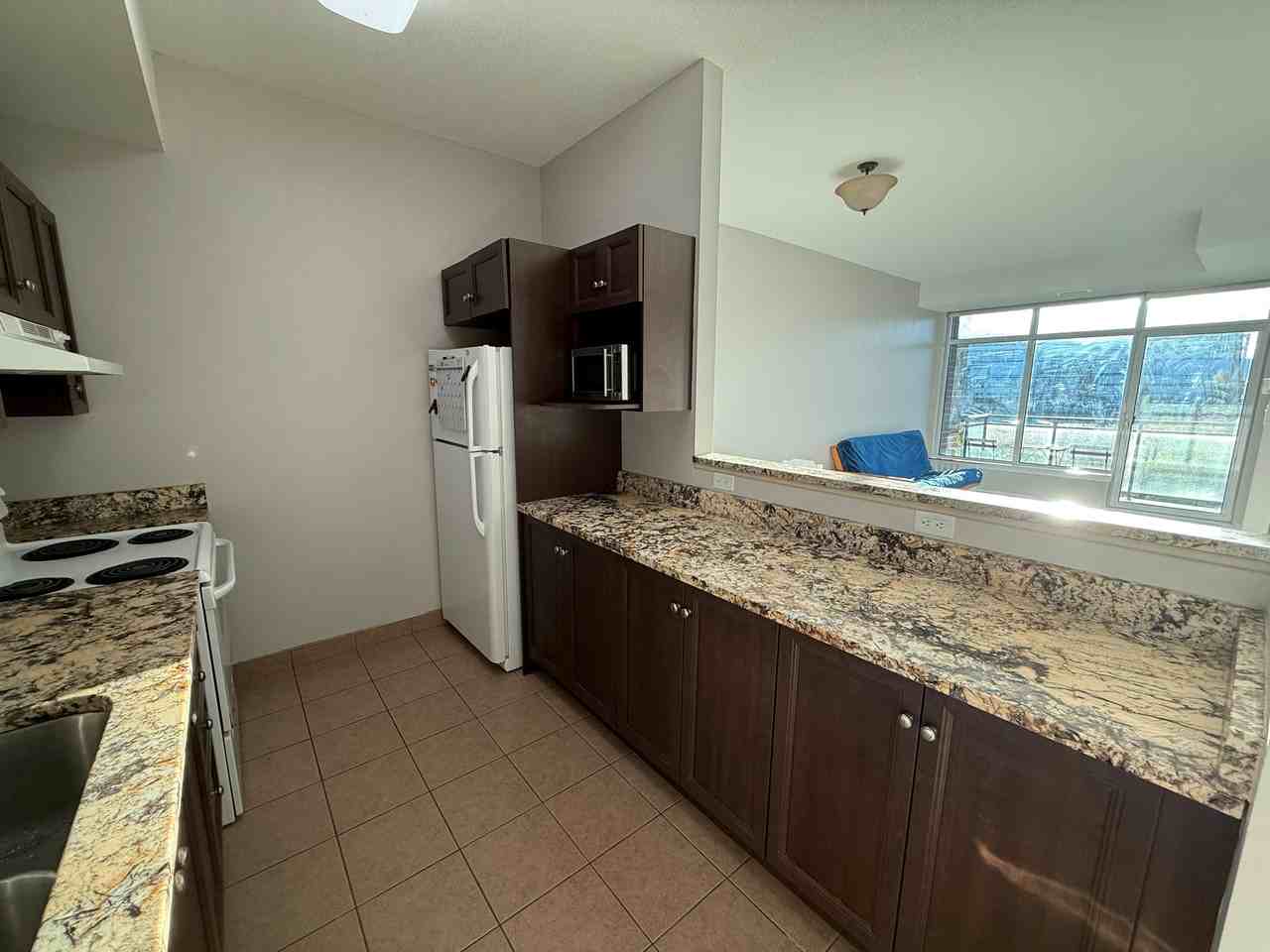 100 Roger-Guindon Ave #303 - Photo 6 of 24