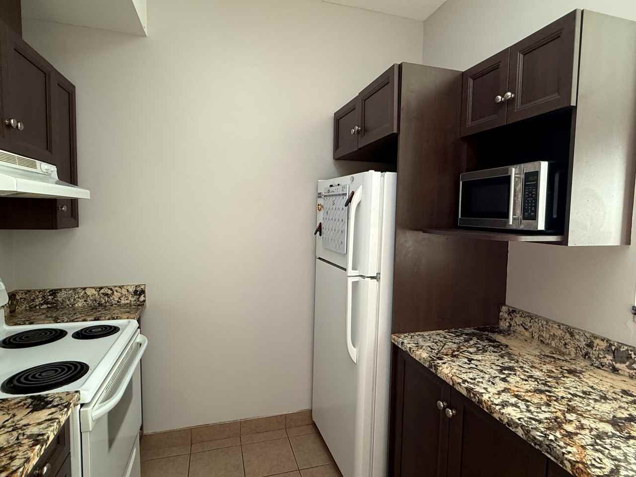 100 Roger-Guindon Ave #303 - Photo 7 of 24