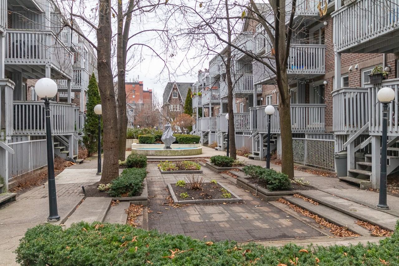 36A Massey St - Photo 2 of 15