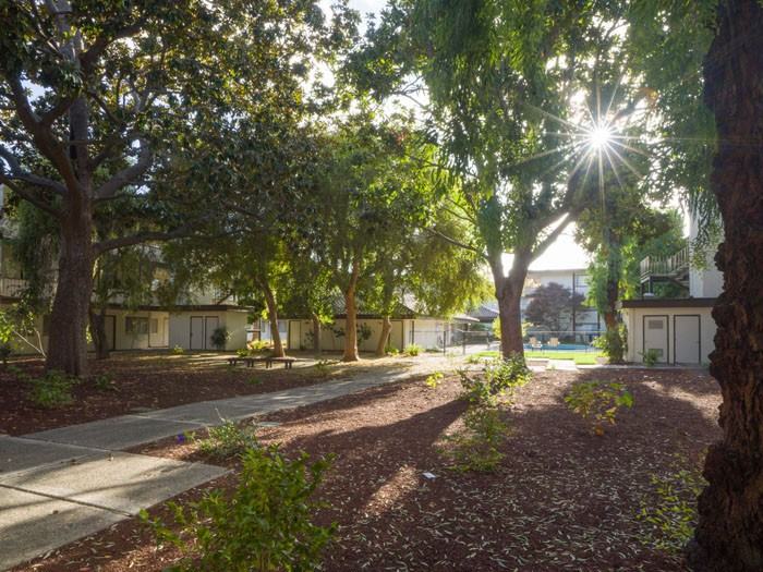 2700 Del Medio Ct #227 - Photo 3 of 8