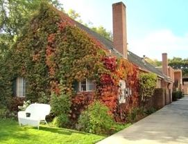 421 Forest Ave #425A - Photo 1 of 1