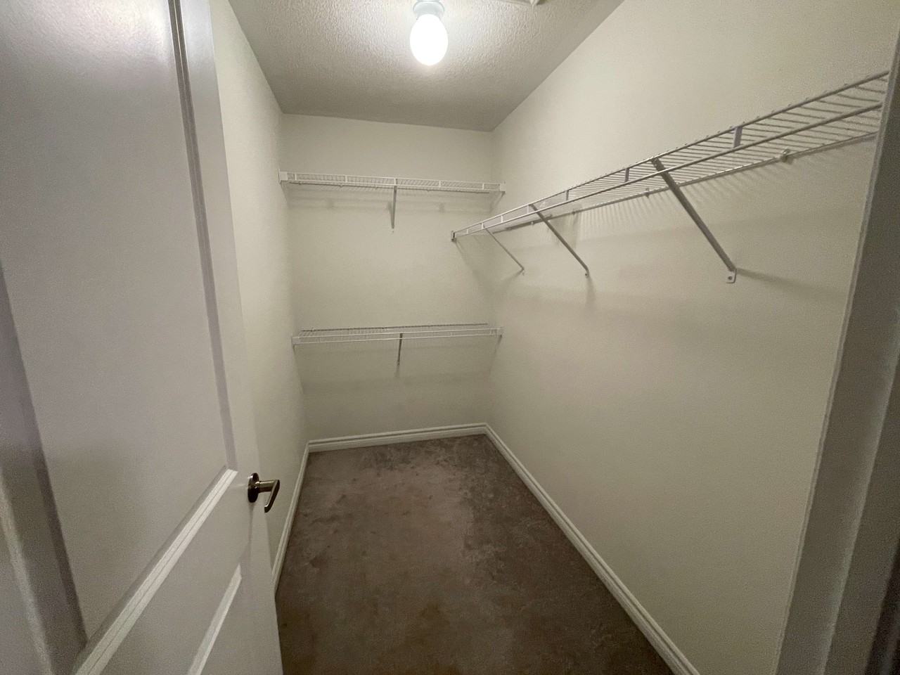 56 Circus Cres - Photo 6 of 9