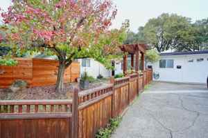 featured image of 104 Lobo Vis