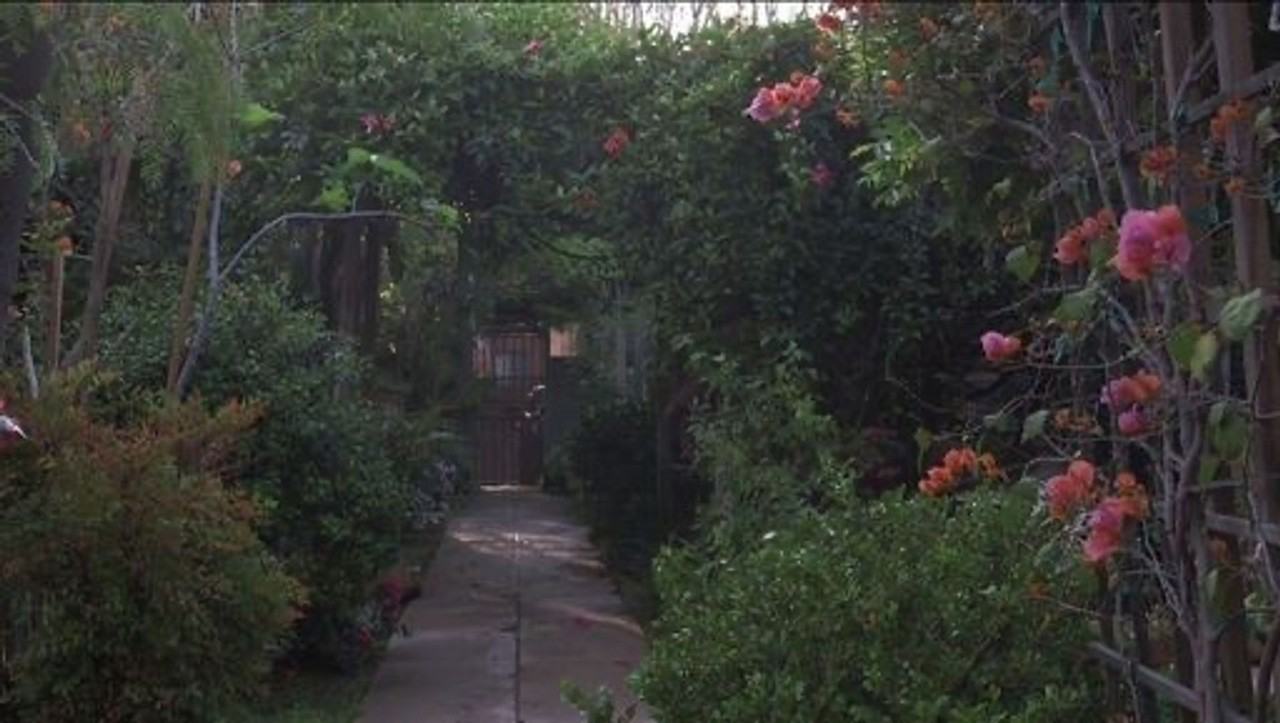 Garfield - Photo 2 of 36