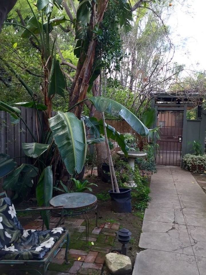 Garfield - Photo 5 of 36