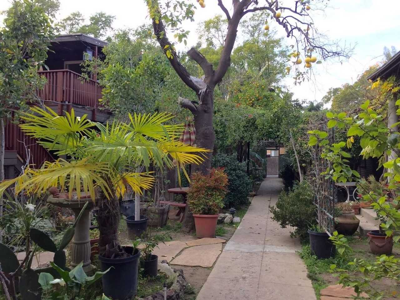 Garfield - Photo 3 of 36