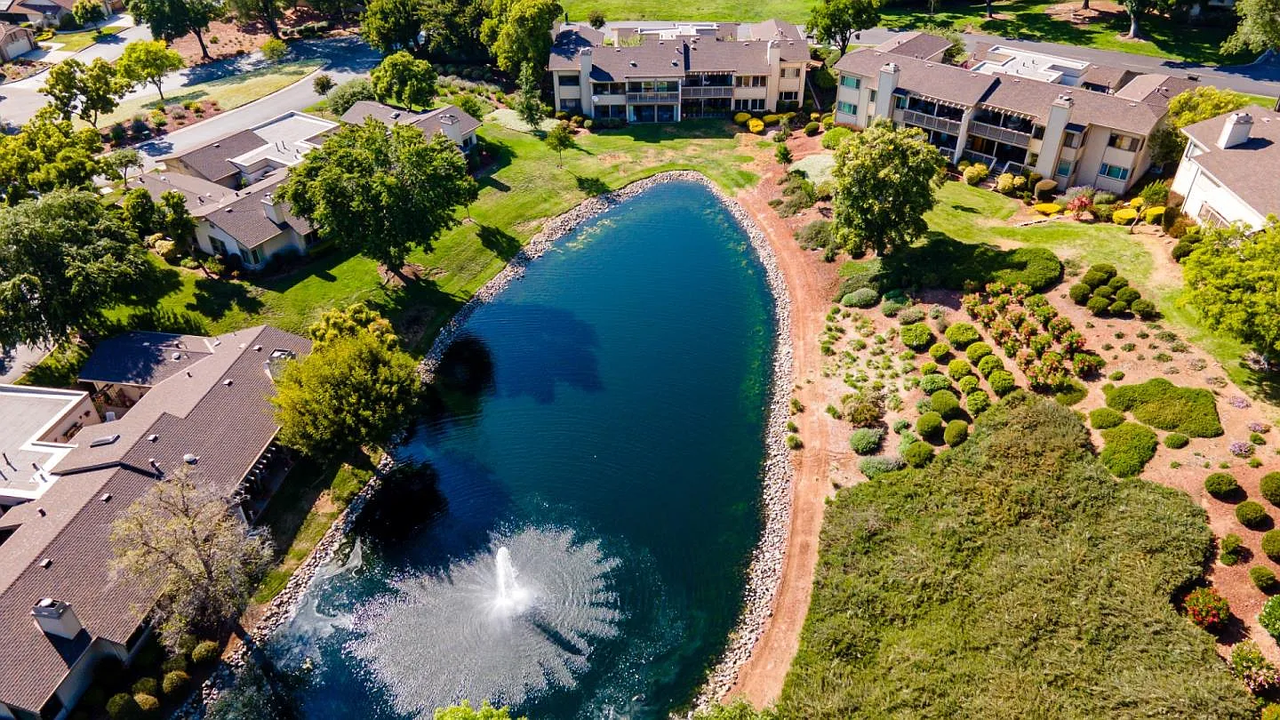 7314 Via Laguna - Photo 4 of 28