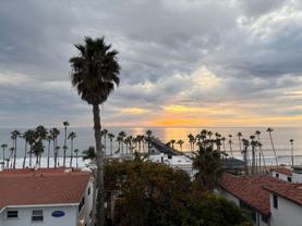 Sandpiper - Photo 1 of 1