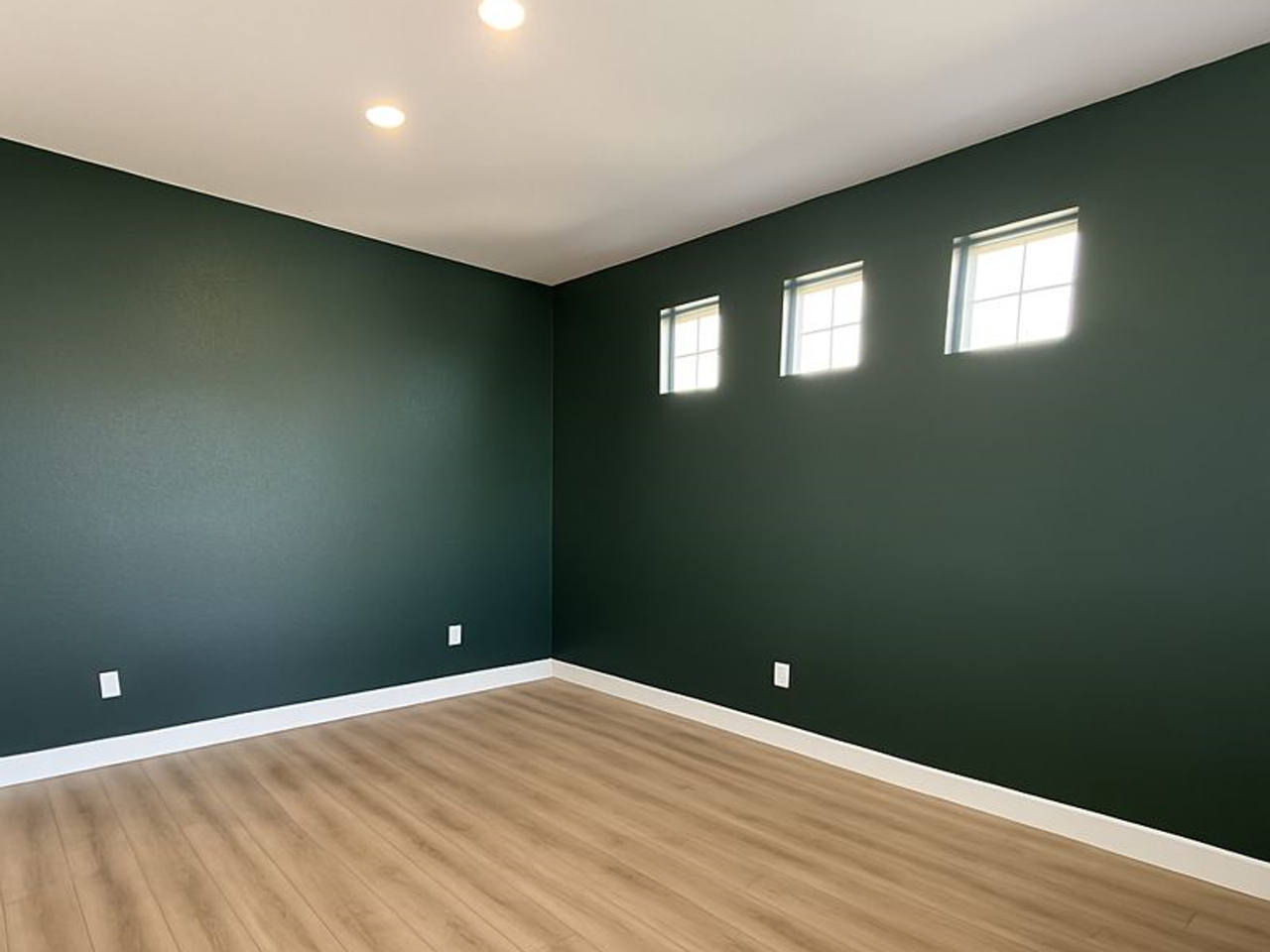 7325 Overture Dr - Photo 4 of 11