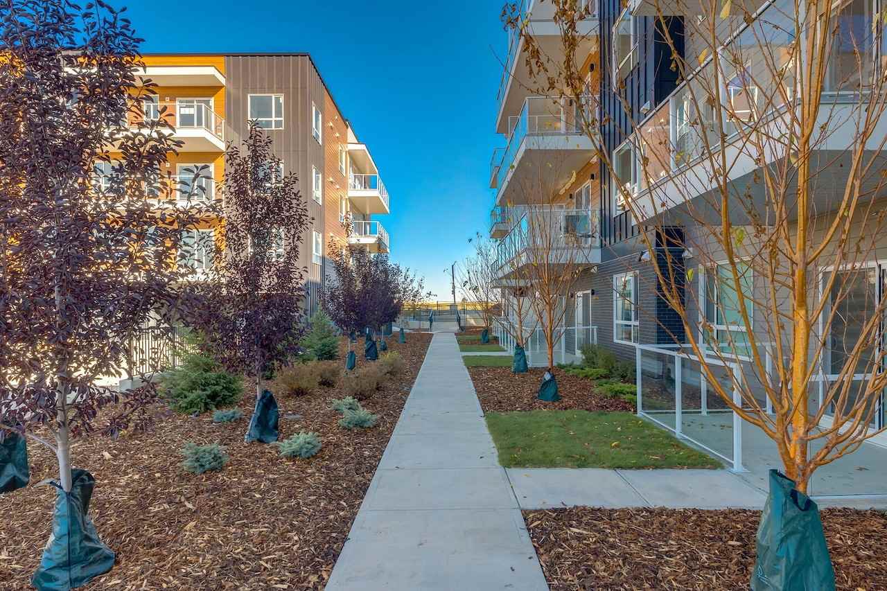 1 MONTHS FREE RENT!!! Modern 1 Bed Plus Den |  Top - Photo 3 of 30